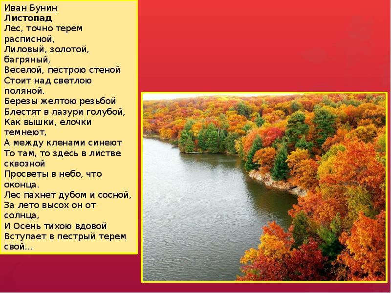 Лес бунин листопад. Бунин Иван Алексеевич лес точно Терем расписной. Листопад лес точно Терем расписной. Бунин лес точно расписной. Лес точно Терем расписной полностью.