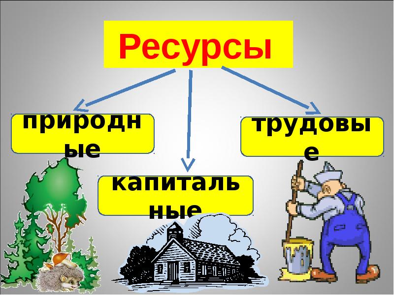 Экономическая жизнь общества проект