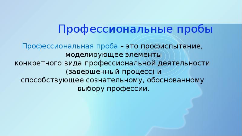 Профессиональная проба проект