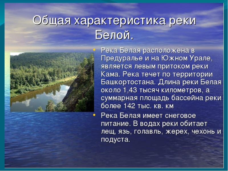 План рассказа белая река