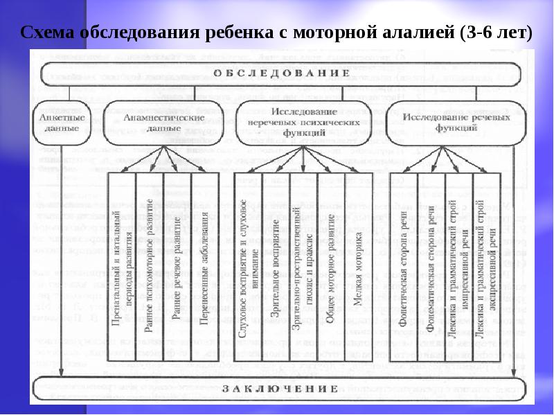 Схема логопедического обследования включает следующие данные