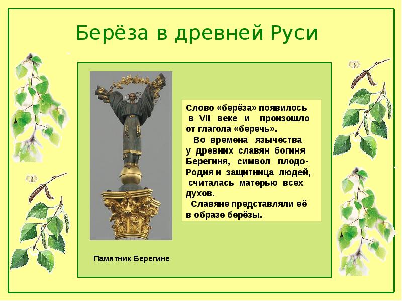 Почему березы русские. Береза символ России. Береза символ. Берёза-символ России презентация. Неофициальные символы России береза.