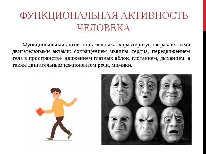 Функциональная активность человека и взаимосвязь физической и умственной деятельности презентация