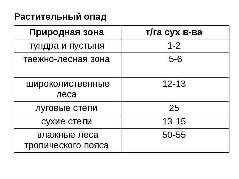 Значение растительного опада. Значение растительного опада. Лесная подстилка хвойного леса. Лесная подстилка широколиственного леса. Накопление гумуса.