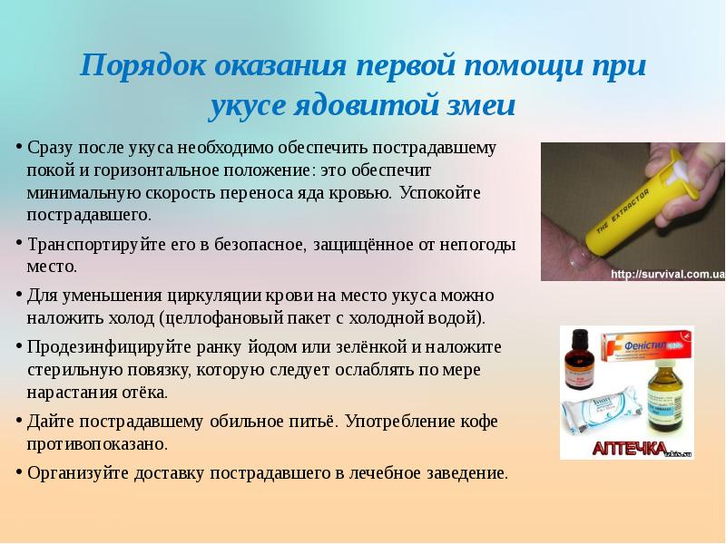 Презентация на тему первая помощь при укусах змей и насекомых