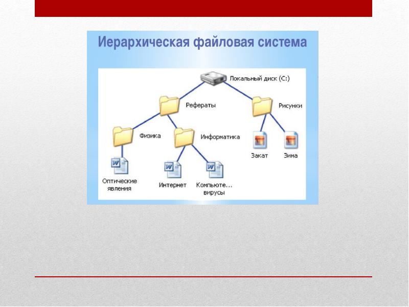 Даны изображения иерархическими системами являются