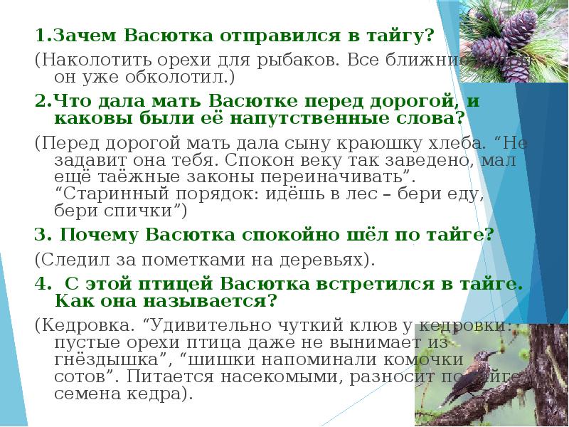 Зачем васютка отправился в тайгу. Зачем Васютку отправили в тайгу. Зачем Васютка отправился в лес. Сообщение о Васютке.