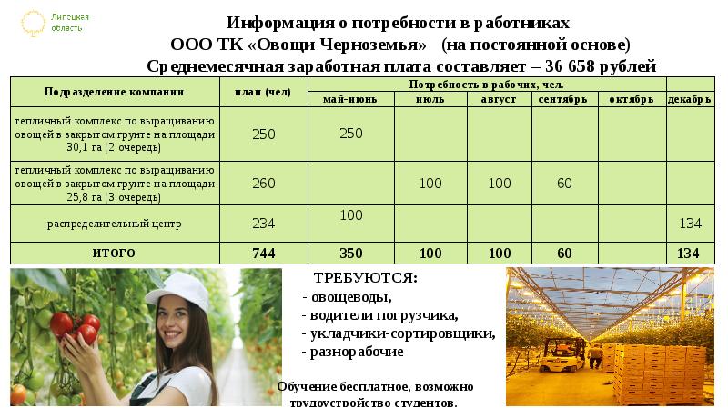 работа в европе реклама. сезонные работы примеры. сбор клубники. временная работа пример. плантация клубники.
