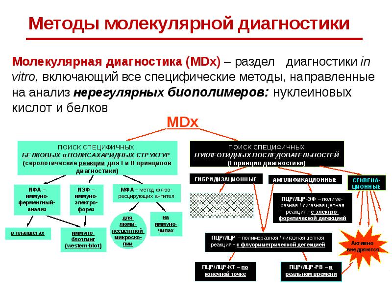 Разделы диагностики