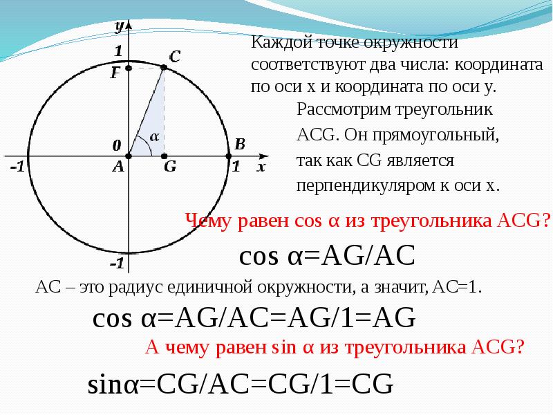 Радианной мере величины углов. Радианная мера угла вращательное движение. Радианная мера измерения угла. Градусная и радианная меры угла и дуги. Радиальная и градусная мера угла.