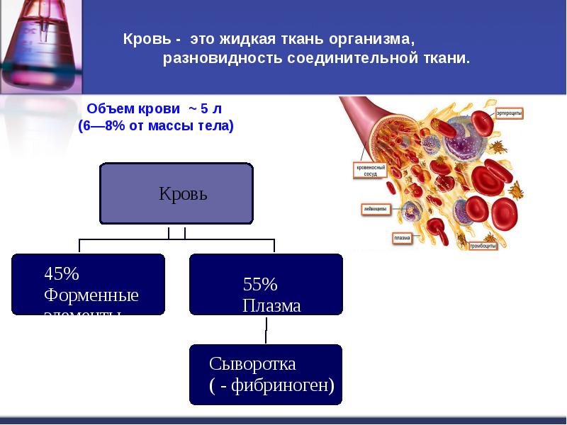 Белки плазмы крови презентация биохимия