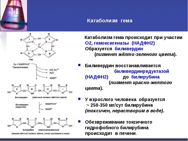 Катаболизм гема и образование желчных пигментов схема с указанием ферментов