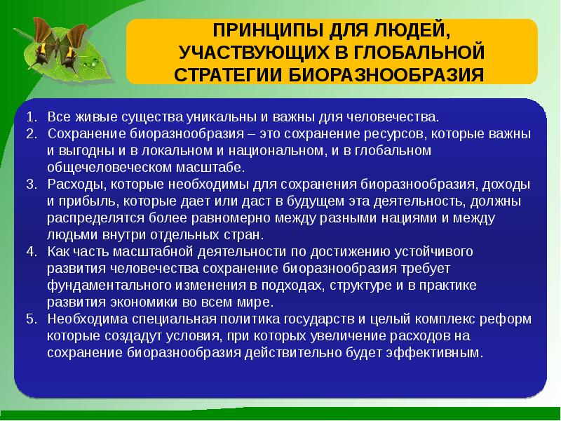 Сохранение биологического разнообразия презентация