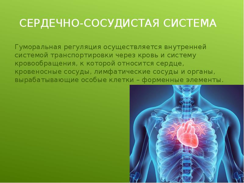 Защитные функции организма презентация