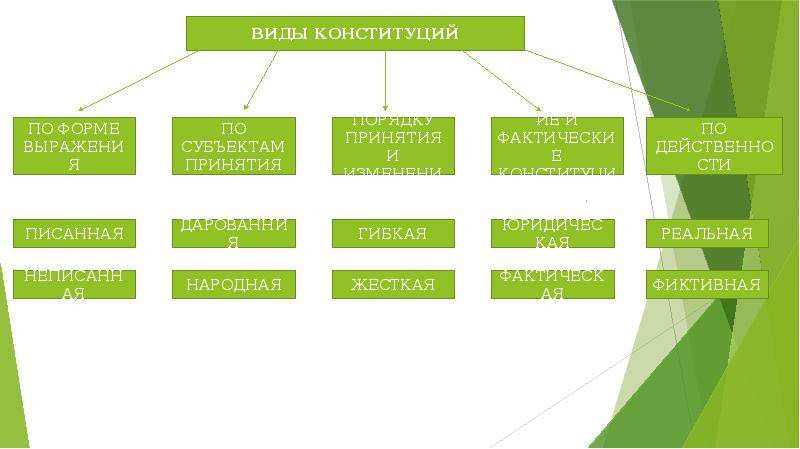 Обществознание 10 класс конституционное судопроизводство презентация