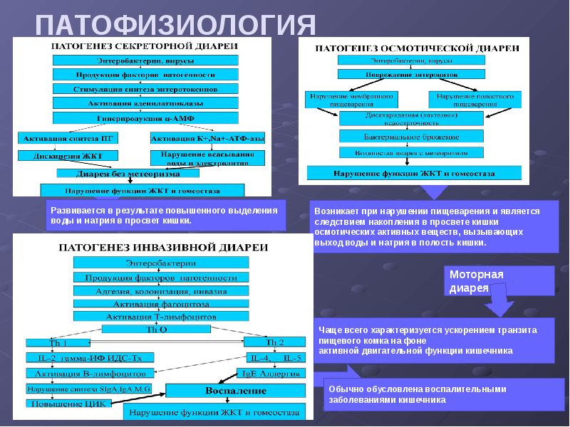 Синдром диареи презентация