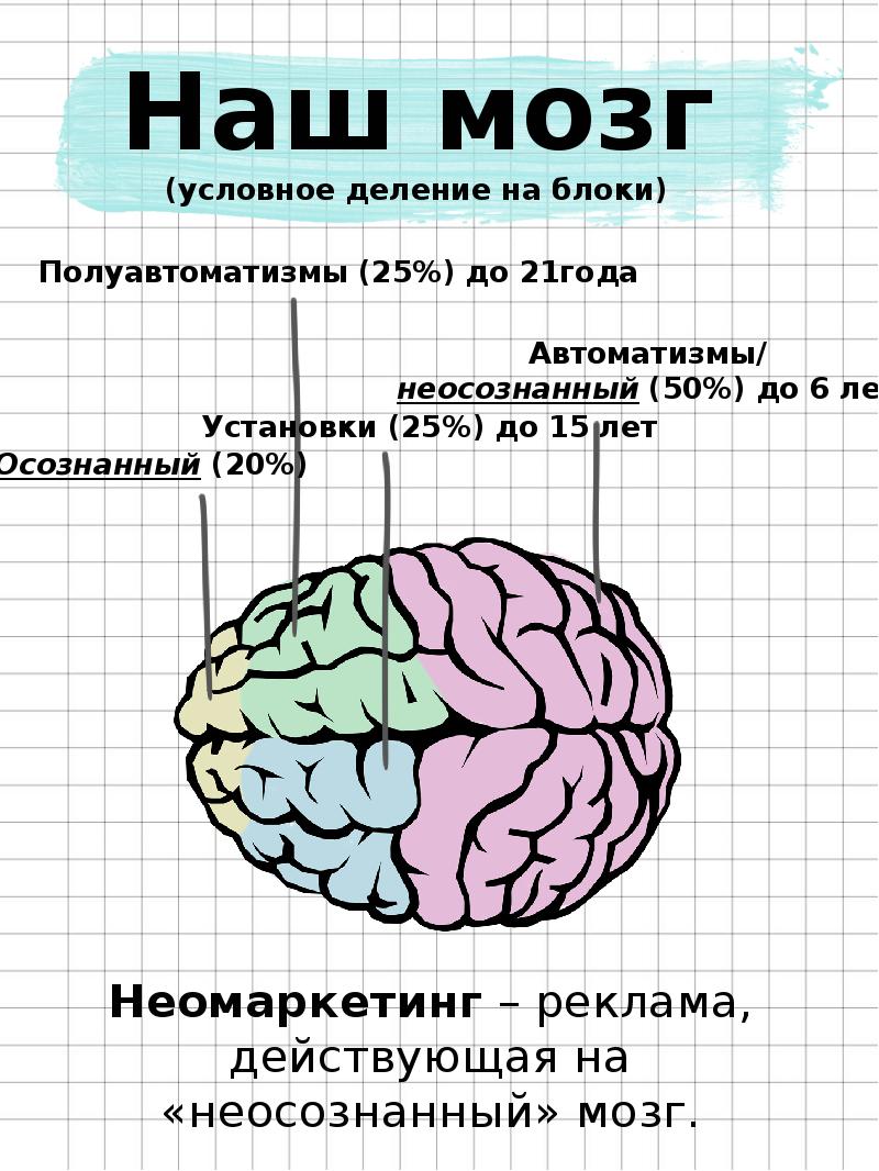 Презентация по нейромаркетингу