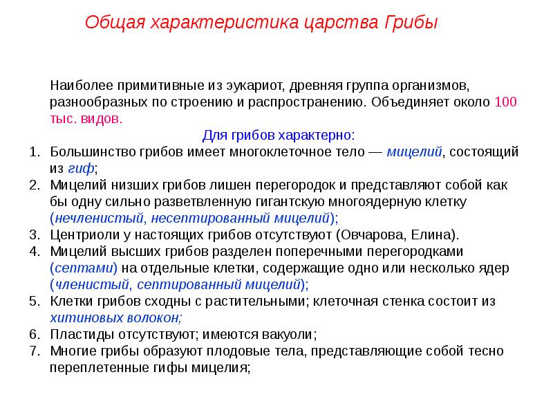 Грибы общая характеристика 5 класс презентация