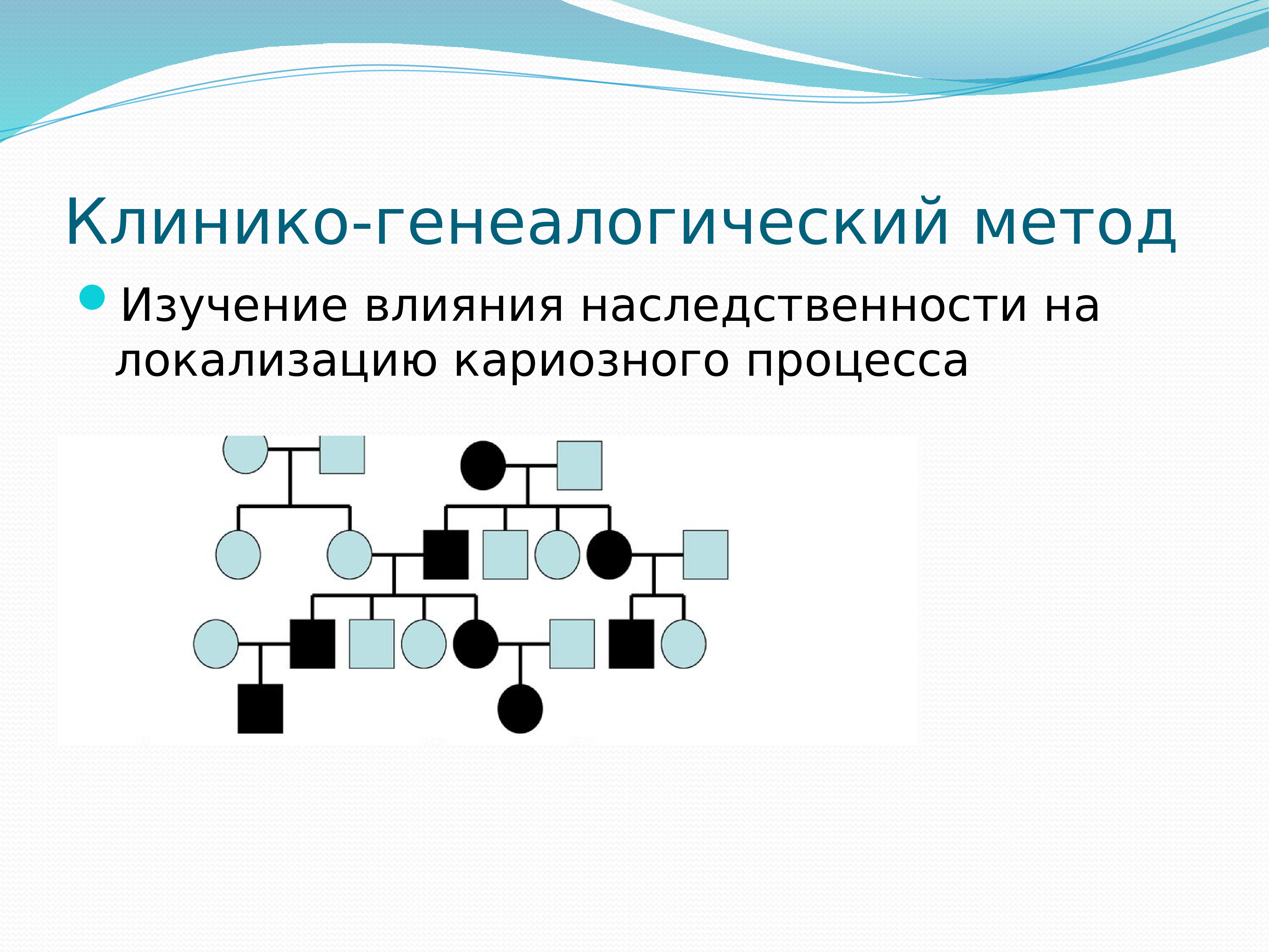 Генеалогическое исследование. Генеалогический метод изучения наследственности. Клинико-генеалогический метод таблица. Что такое клинико-генеалогический метод исследования. Клинико-генеалогический метод изучения наследственности человека.