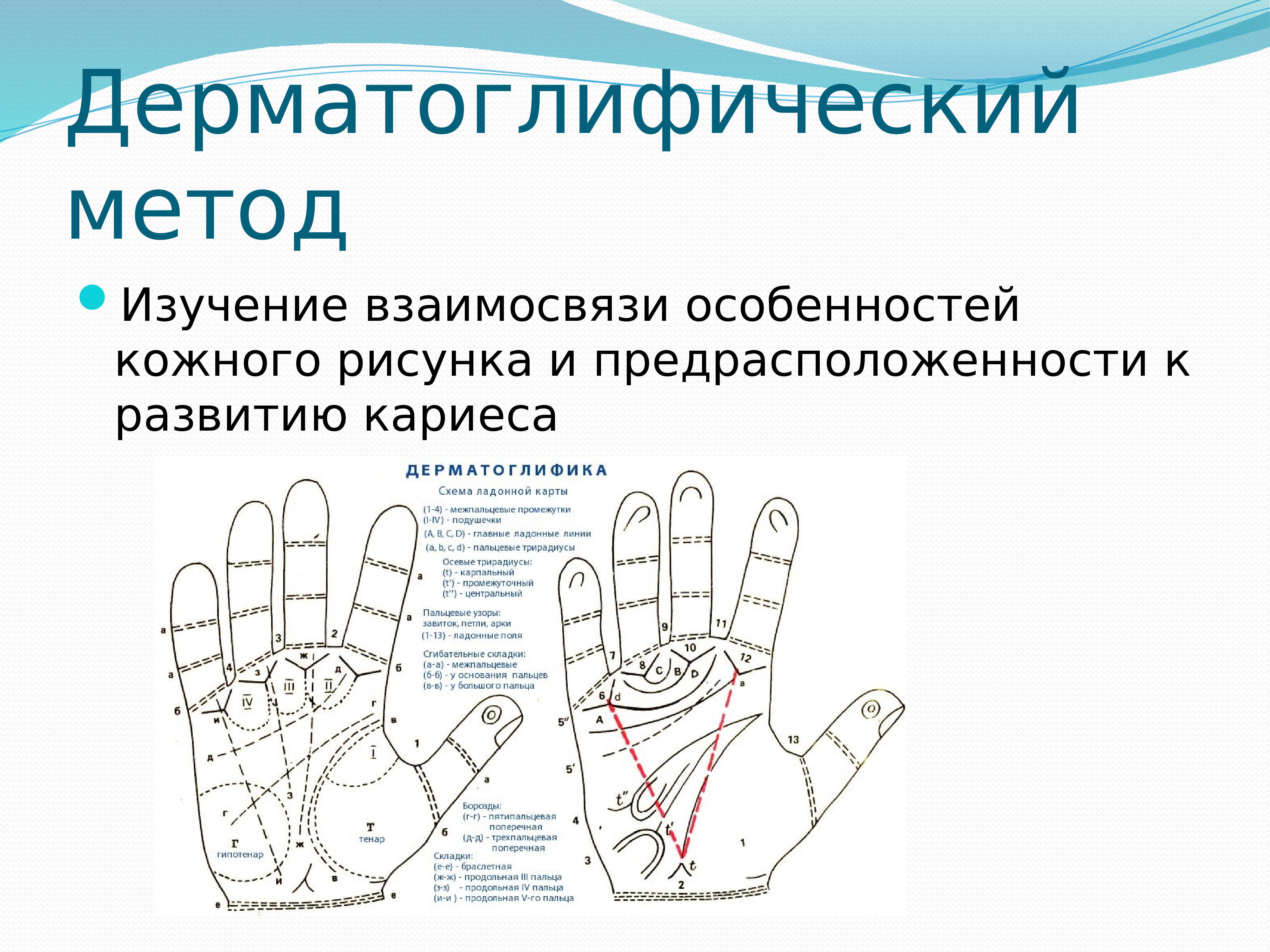 Дерматоглифический метод презентация