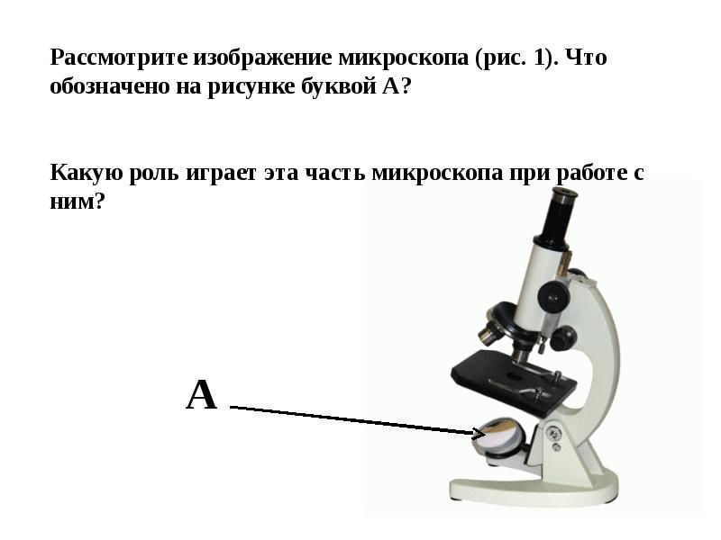 Что обозначено на рисунке буквой а. Рассмотрите изображение микроскопа. Рассмотри изображение микроскопа. Часть микроскопа на букву о. Какое изображение в микроскопе.