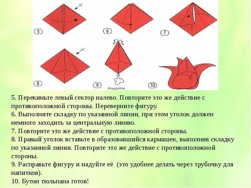 Пошаговое оригами тюльпана. Оригами тюльпан. Оригами в подготовительной группе из бумаги. Оригами тюльпан из бумаги. Презентация оригами цветы.