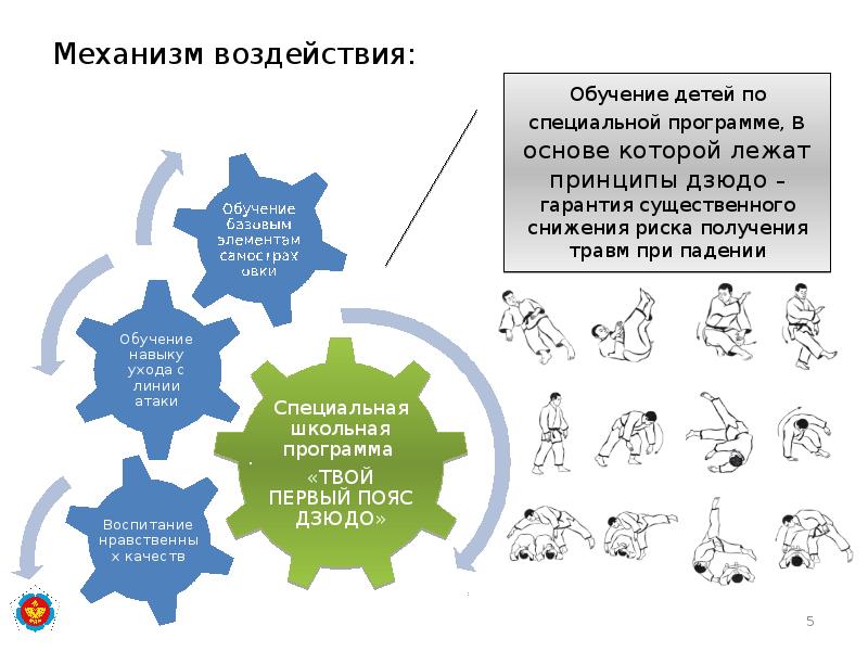 Механизм воздействия: Механизм воздействия:
