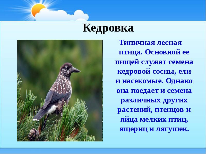 Презентация текст описание 2 класс начальная школа 21 века