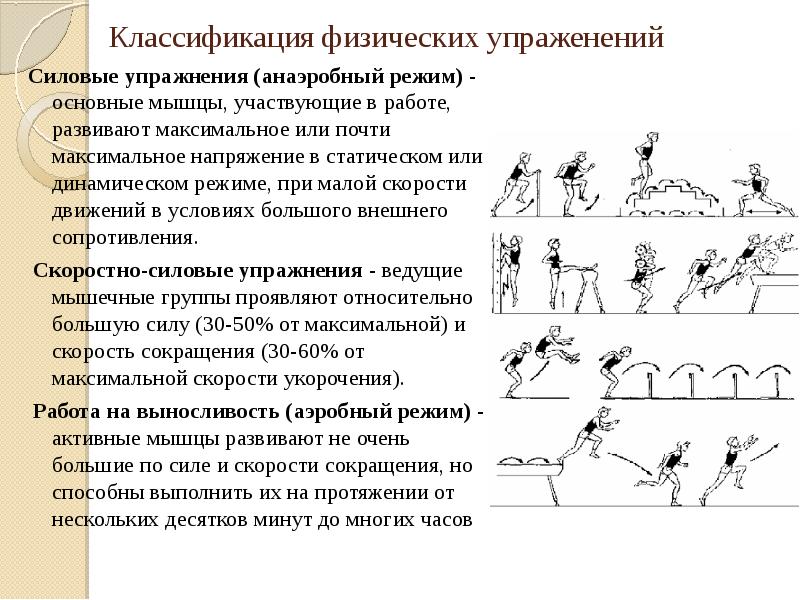 Виды физических нагрузок и их интенсивность проект