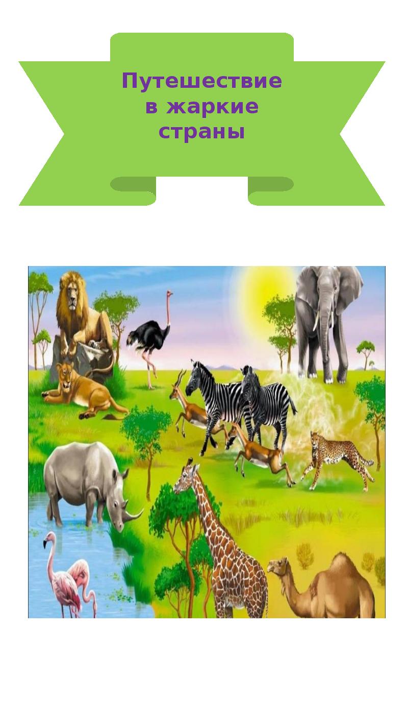 Зоопарк для дошкольников. Животные африки для детей. Животные жарикие стран для детей. Обитатели джунглей для детей. Животные жарких стран.