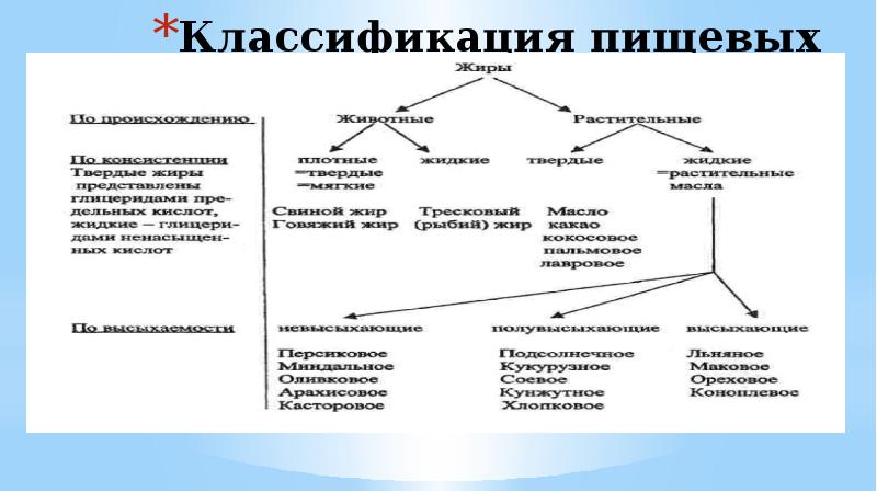 Пищевые жиры схема