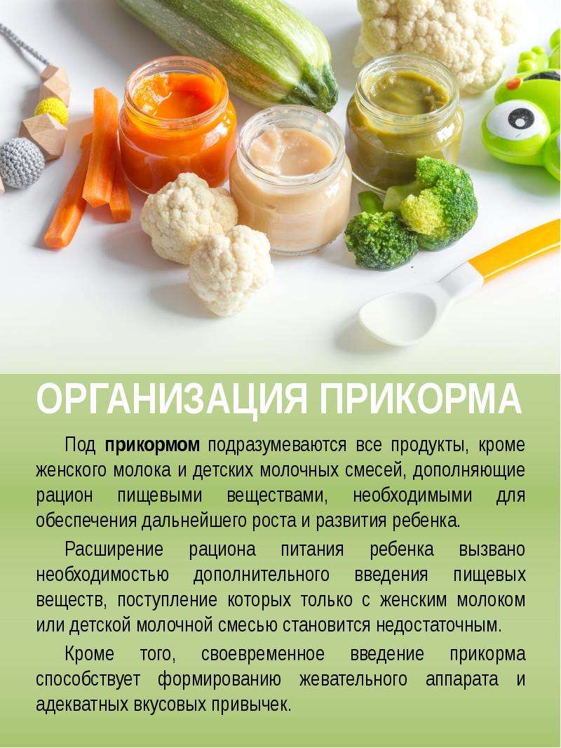 Начало прикорма. Введение продуктов в прикорм. Продукты для первого прикорма. Первый прикорм. Своевременное Введение прикорма.