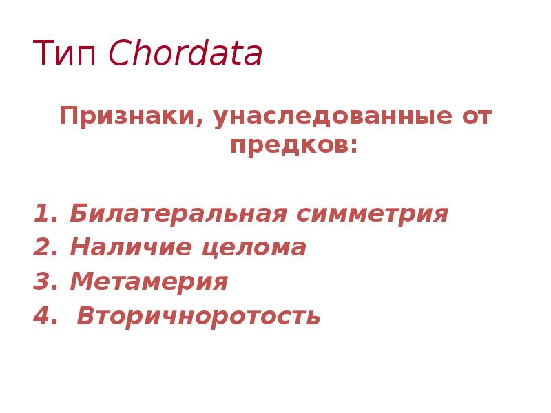 Тип Chordata
Признаки, унаследованные от предков:
Билатеральная симметрия
Наличие целома
3. Метамерия
Тип Chordata
Признаки, унаследованные от предков:
Билатеральная симметрия
Наличие целома
3. Метамерия