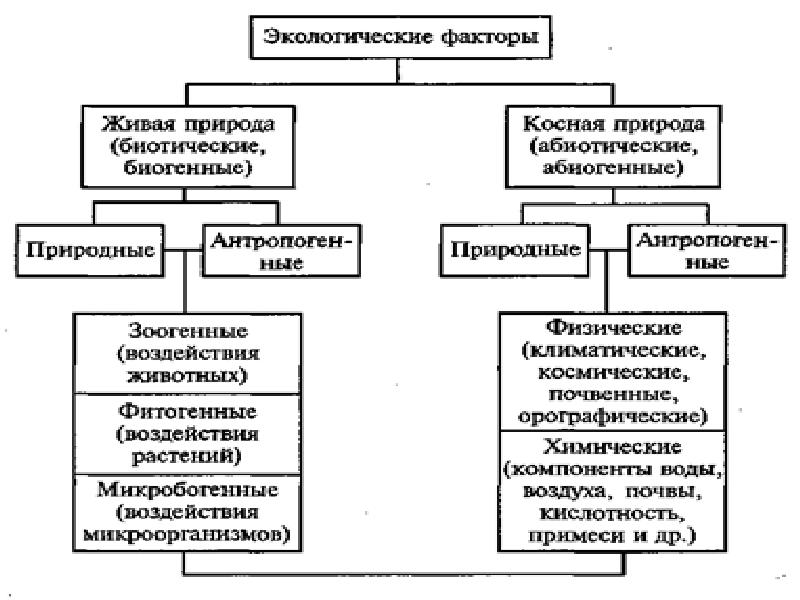 Биотические и антропогенные факторы 7 класс презентация