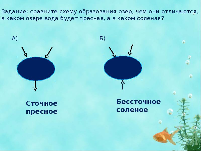 Как озера различаются по происхождению. Схема образования озер. Какие условия необходимы для образования озера. Компоненты образования озера. Чем обусловлено образование озер.