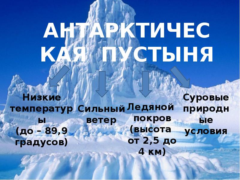 Презентация по географии 6 класс ледяные пустыни и тундры