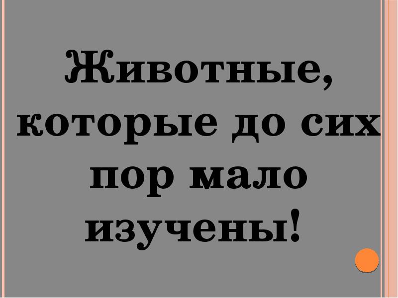 Мало пора. Животные которые до сих пор мало изучены. Животные и растения которые до сих пор мало изучены. Растения которые до сих пор мало изучены. Животные из красной книги которые малоизучены до сих пор.