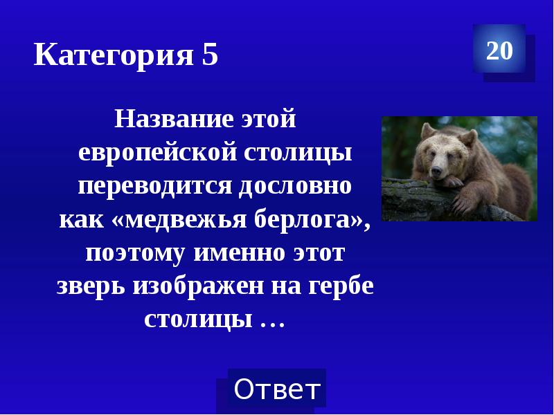 Как дословно переводится. Медвежья Берлога европейская столица. Медвежья Берлога падеж.