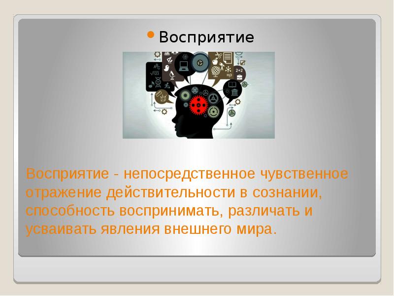 Чувственно наглядное восприятие мира