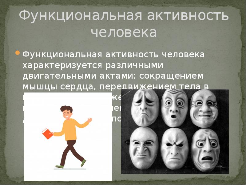 Функциональная активность человека и взаимосвязь физической и умственной деятельности презентация