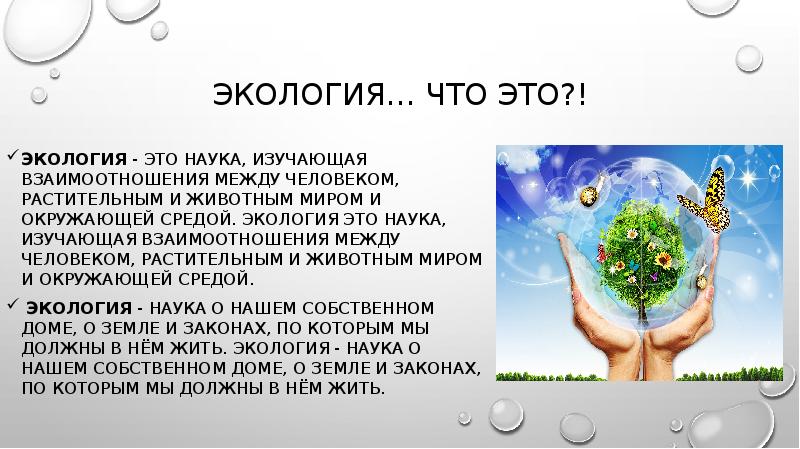 Что изучает наука экология. Экология. Экология это наука. Экология это наука изучающая. Экология наука изучающая взаимоотношения.