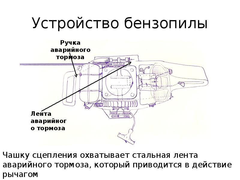 Устройство пил. Конструкция бензопилы презентация. Устройство бензопилы Шарк. Устройство бензомоторного Аси.