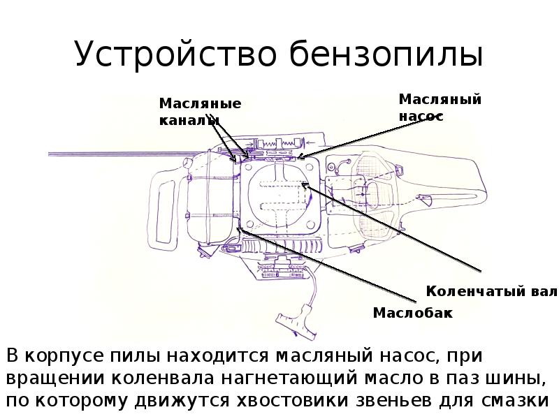 Устройство пил. Устройство бензопилы. Общее устройство бензопилы. Презентация бензомоторные пилы. Конструкция бензопилы презентация.