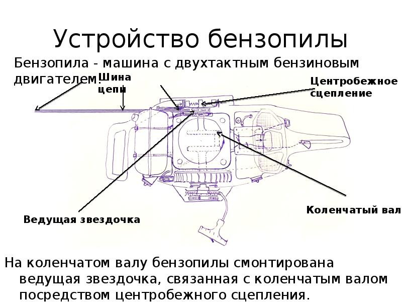 Устройство бензопилы Шарк. Устройство бензопилы принцип работы конспект. Устройство и обслуживание ve-145l. Устройство бензомоторного Аси.