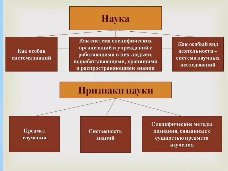 Презентация по обществу 8 класс образование