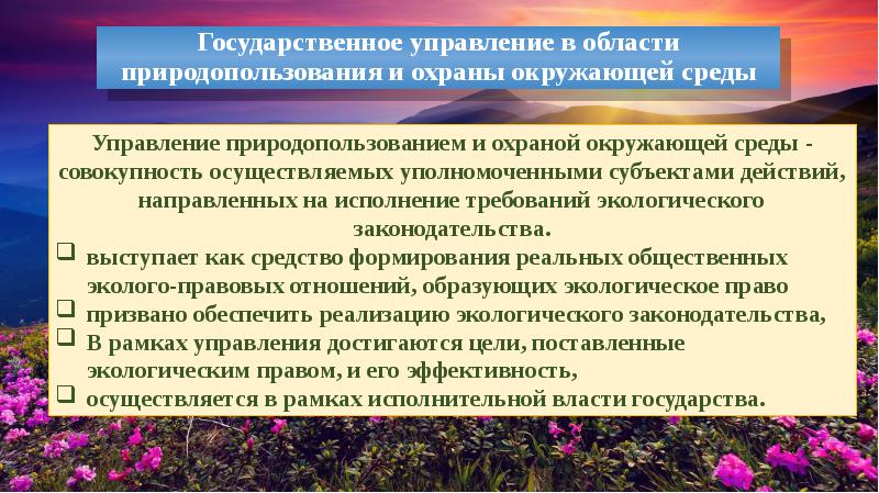 Государственное управление природопользованием схема