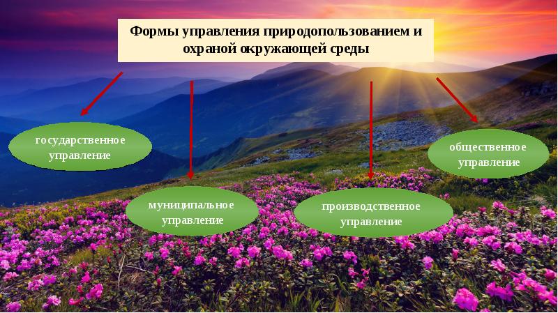 Управление в сфере природопользования. Формы управления природопользованием. Управление природопользованием и охраной окружающей среды. Виды управления природопользованием и охраной окружающей среды. Управление в области охраны окружающей среды и природопользования.