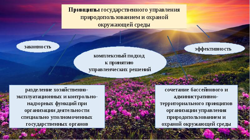 Государственное управление охраной окружающей среды. Государственное управление природопользованием. Государственное управление окружающей средой. Государственное управление в области охраны окружающей среды. Принципы государственного управления природопользованием.