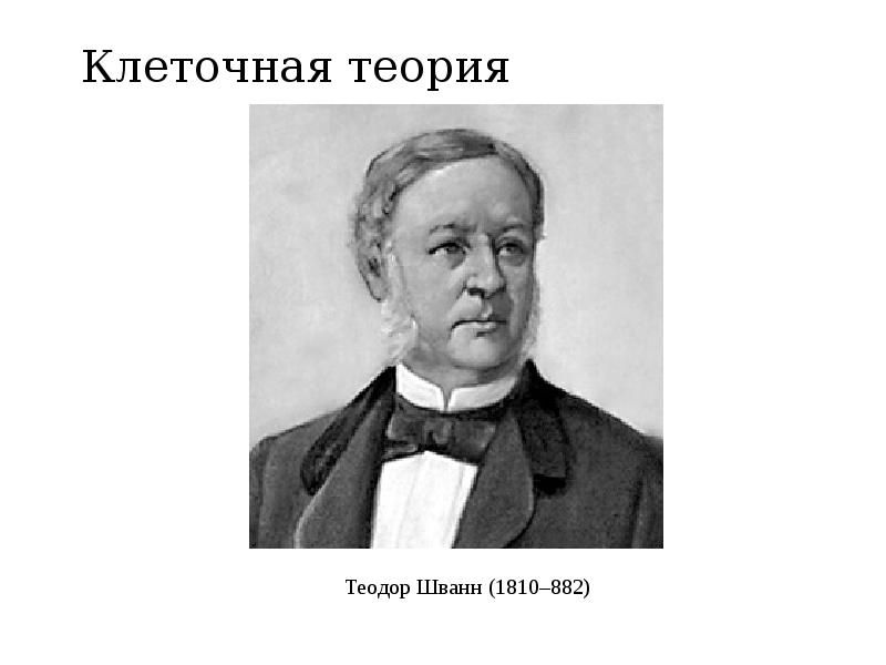 Теория шванна и шлейдена. Шванн теория клетки. Шванн Шлейден Вирхов. Теодор Шванн клеточная теория. Шванн открыл клеточную теорию.