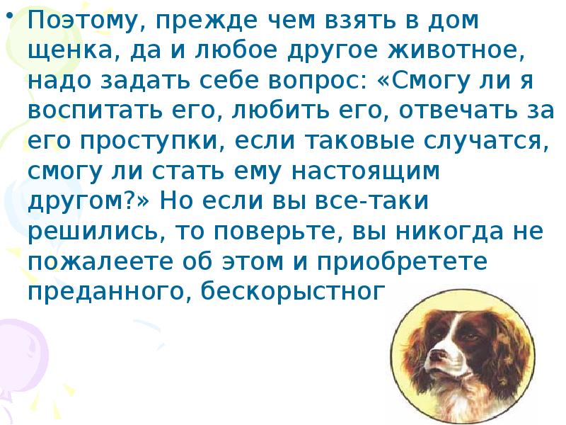 Сочинение любимый питомец. Сочинение книга наш друг. Сочинение про друга. Собака друг человека рассуждение. Сочинение мой друг.